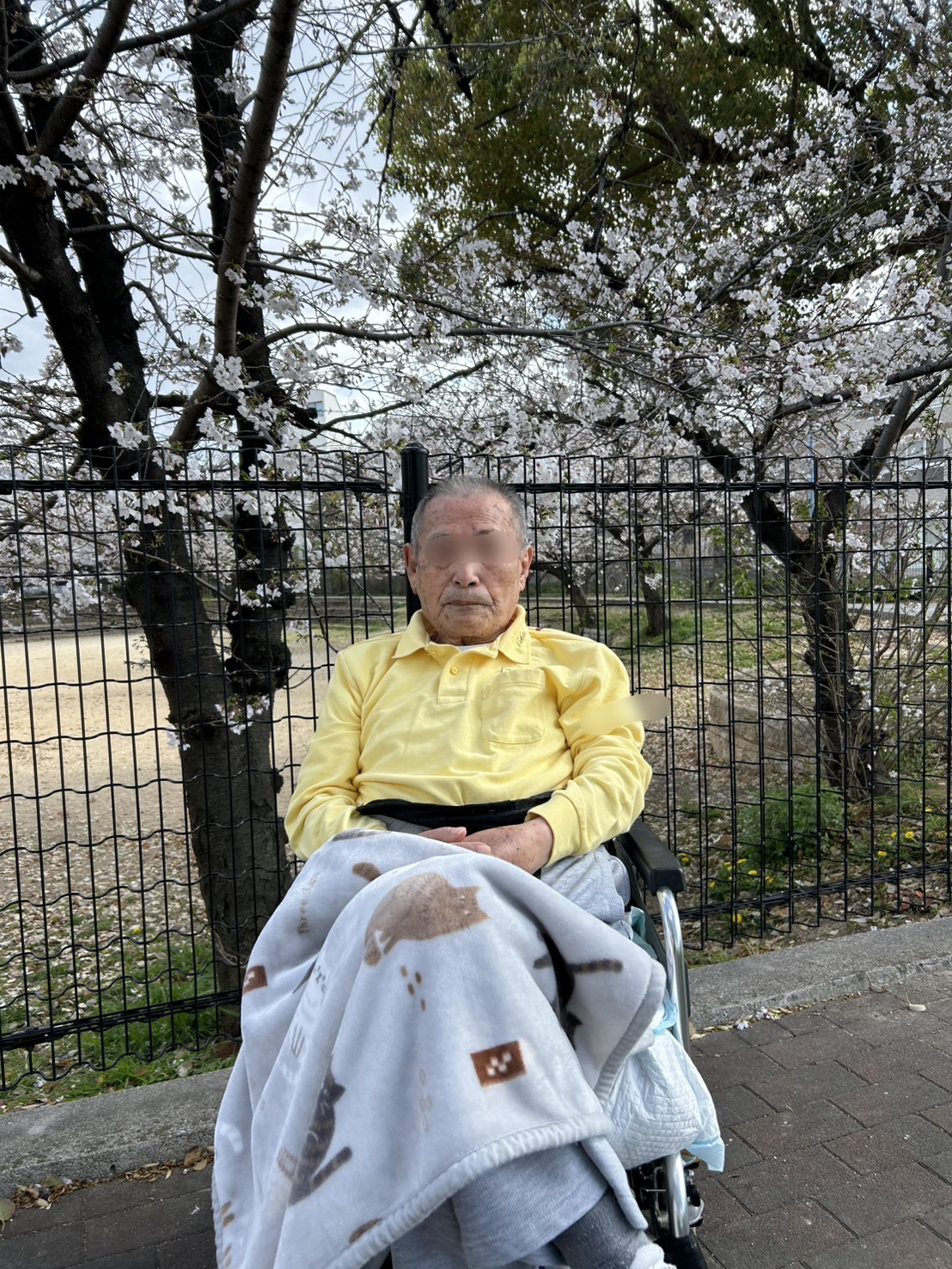 ishimoto-sakura
